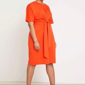 Cross front flutter sleeve dress